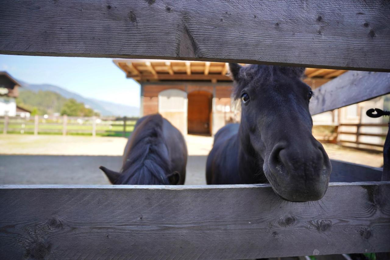 Martlerhof Lejlighed Aschau Im Zillertal Eksteriør billede