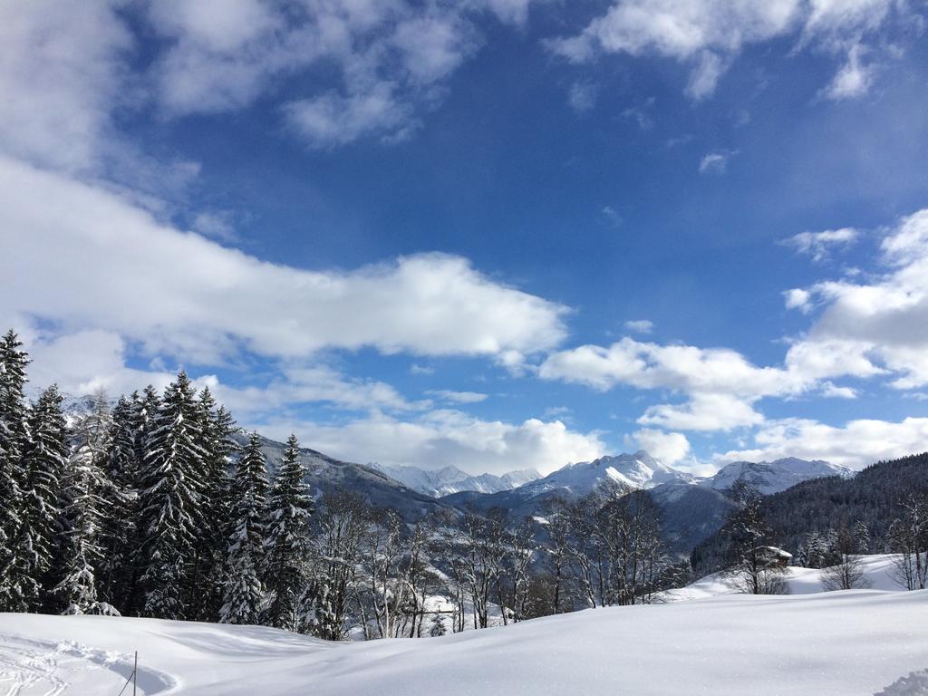 Martlerhof Lejlighed Aschau Im Zillertal Eksteriør billede