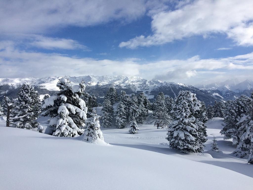 Martlerhof Lejlighed Aschau Im Zillertal Eksteriør billede