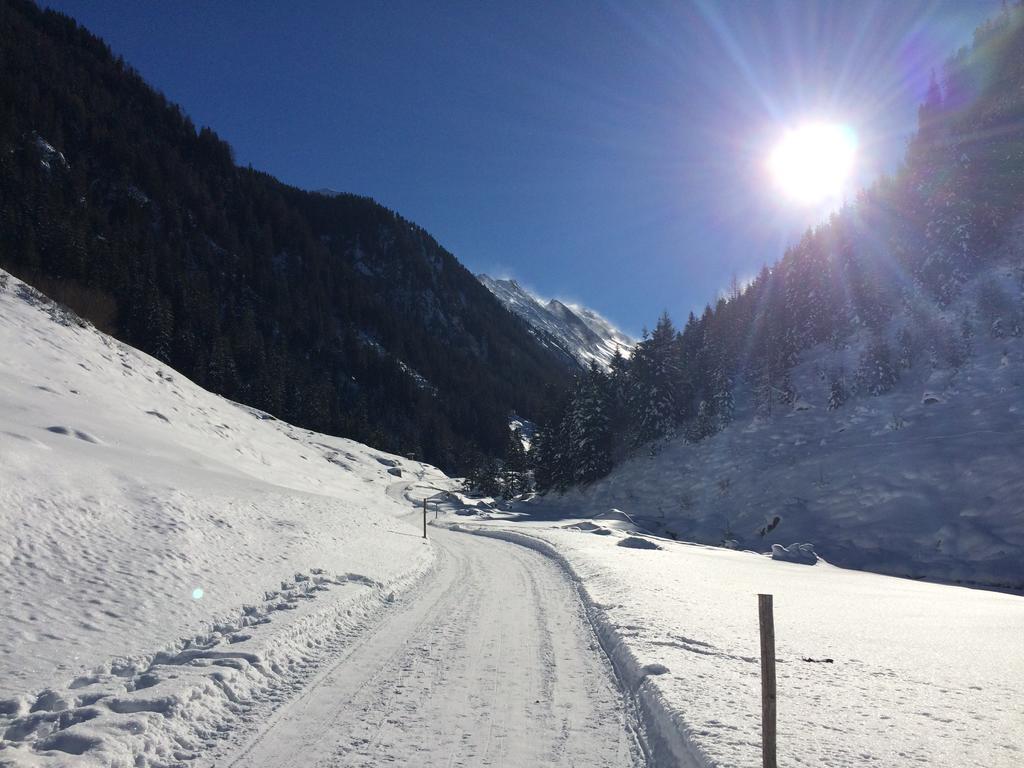 Martlerhof Lejlighed Aschau Im Zillertal Eksteriør billede