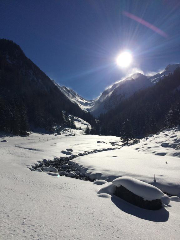 Martlerhof Lejlighed Aschau Im Zillertal Eksteriør billede