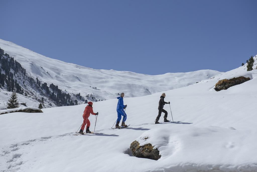 Martlerhof Lejlighed Aschau Im Zillertal Eksteriør billede