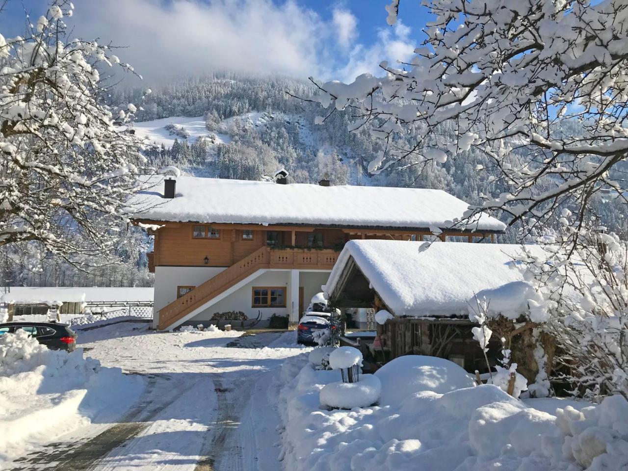 Martlerhof Lejlighed Aschau Im Zillertal Eksteriør billede